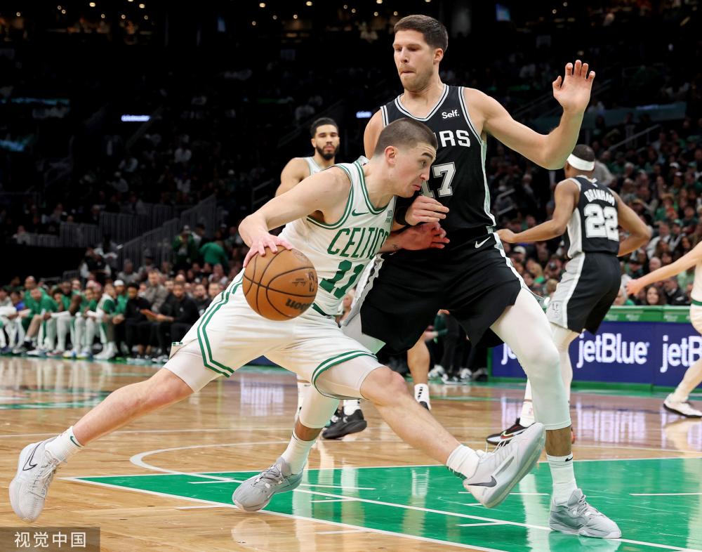 因及其未来 因及其未来