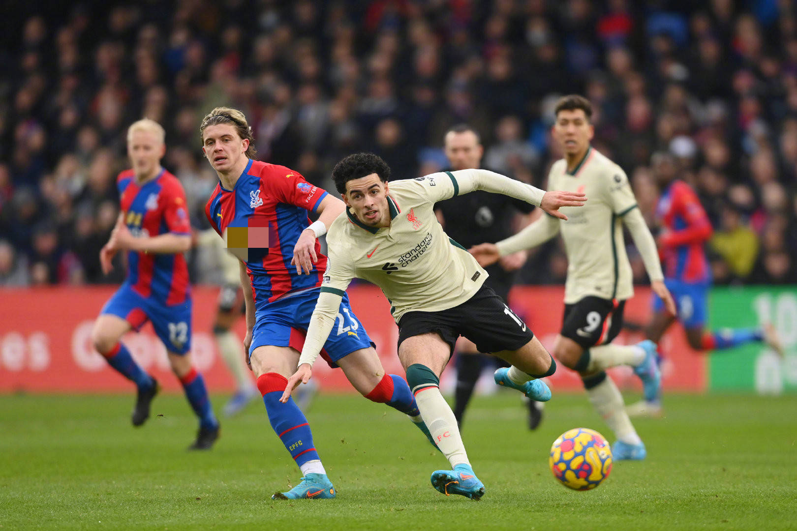 拜尔加盟布 拜尔加盟布